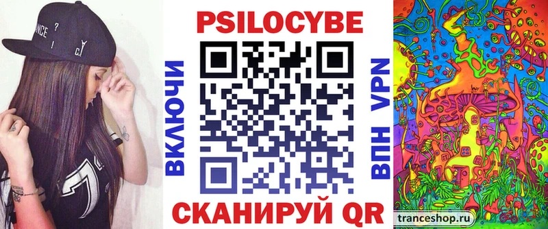 дарнет шоп  Болхов  площадка какой сайт  Псилоцибиновые грибы Psilocybine cubensis 