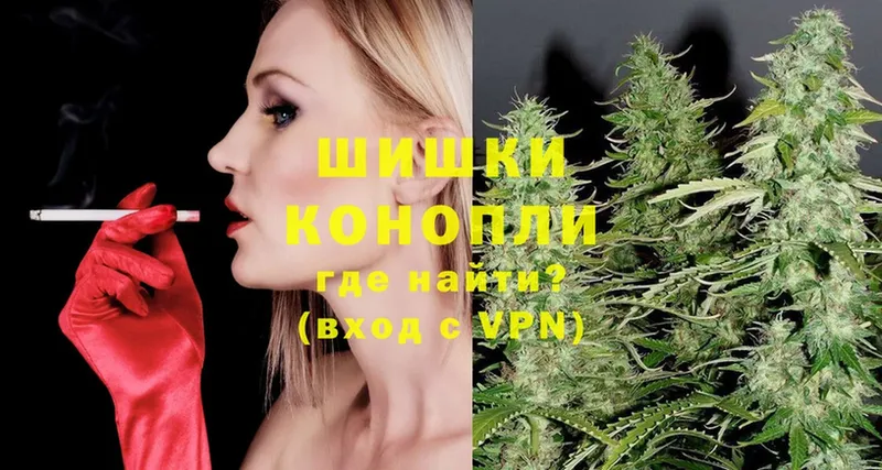 Каннабис OG Kush  Болхов 